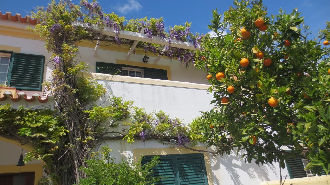 A Casa Do Lagar Apartment Azeitao Exterior foto